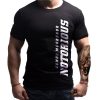 conor-mcgregor-born-lion-mma-tshirts